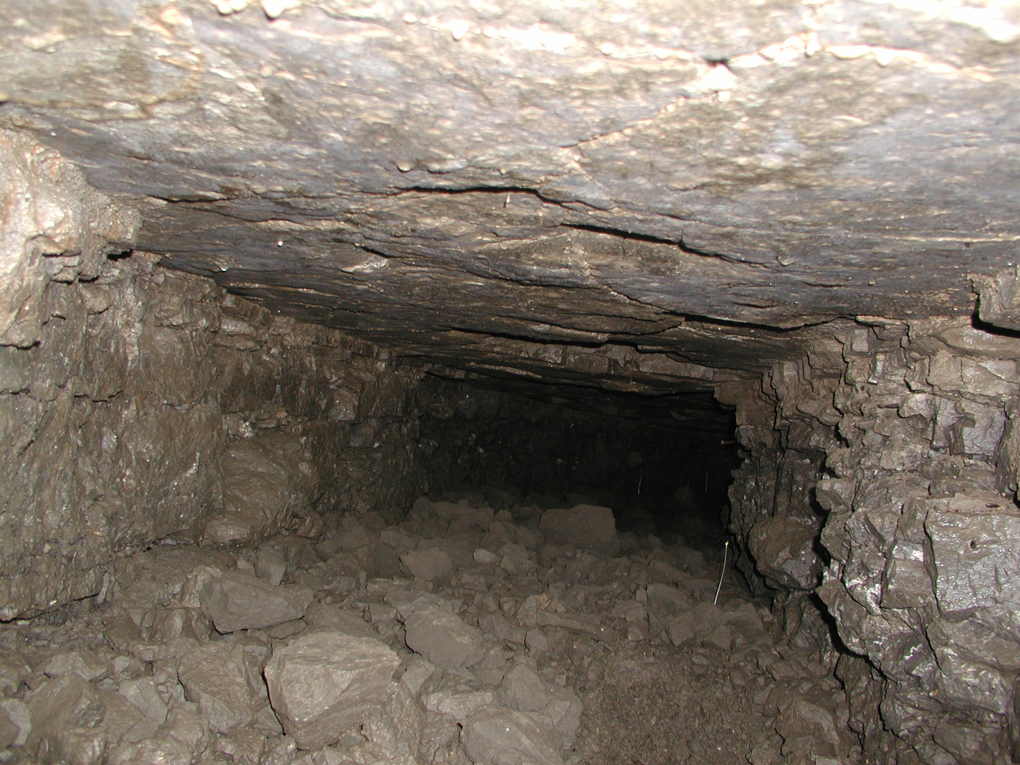 Tunnel under East Ave (2)